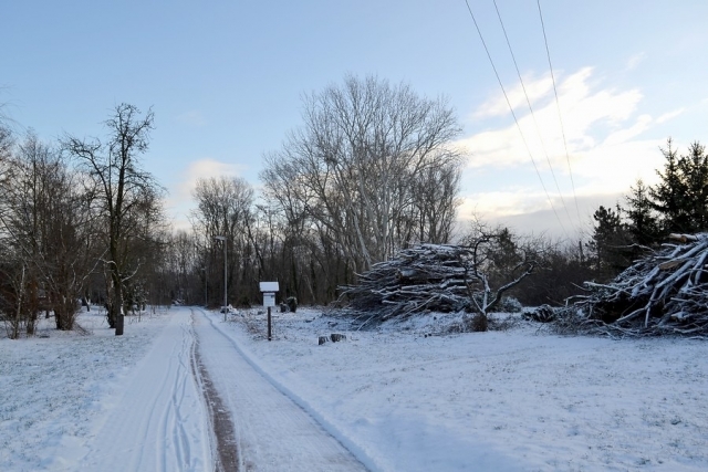 Revitalizace veřejné zeleně - Park u kapličky