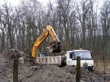 ZAHLAZOVÁNÍ NÁSLEDKŮ HORNICKÉ ČINNOSTI - DEKONTAMINACE ZEMINY PRO TĚŽBU ROPY V K. Ú. LUŽICE U HODONÍNA