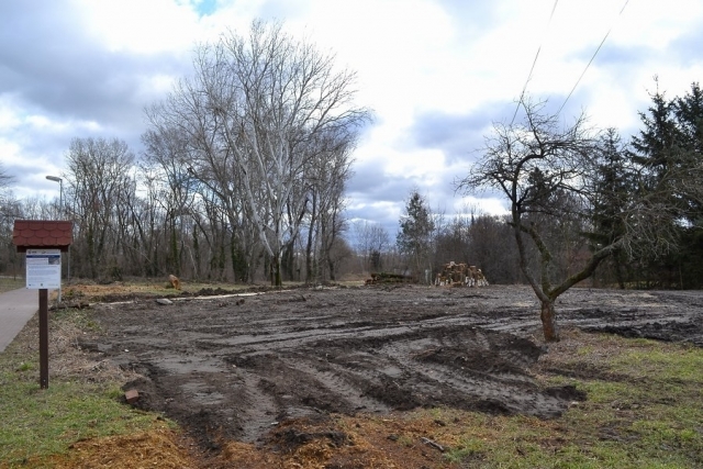 Revitalizace veřejné zeleně - Park u kapličky