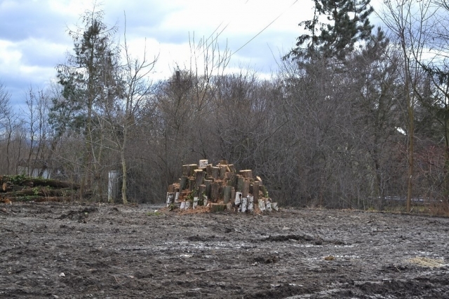 Revitalizace veřejné zeleně - Park u kapličky