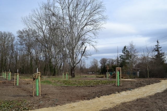 Revitalizace veřejné zeleně - Park u kapličky