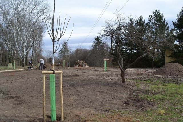 Revitalizace veřejné zeleně - Park u kapličky