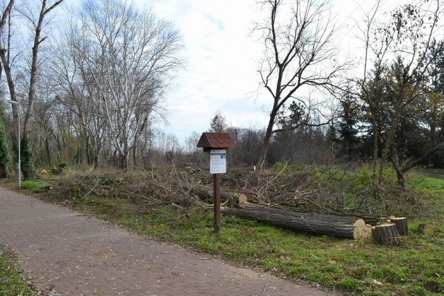 Revitalizace veřejné zeleně - Park u kapličky