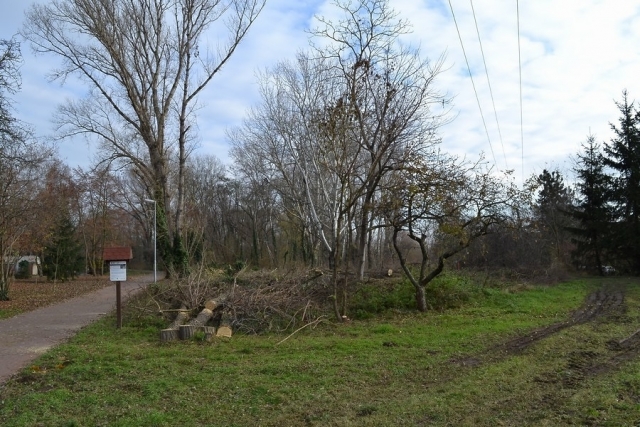 Revitalizace veřejné zeleně - Park u kapličky