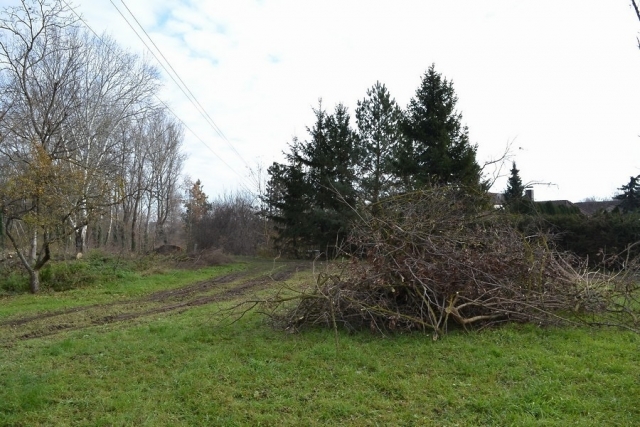 Revitalizace veřejné zeleně - Park u kapličky