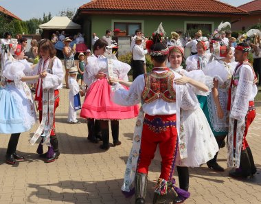 Měnič obrázků - fotografie
