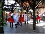 VINOBRANÍ