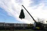 PŘEVOZ VÁNOČNÍ STROMU Z UL. V CHALUPÁCH K OBECNÍMU ÚŘADU - 18. 11. 2009